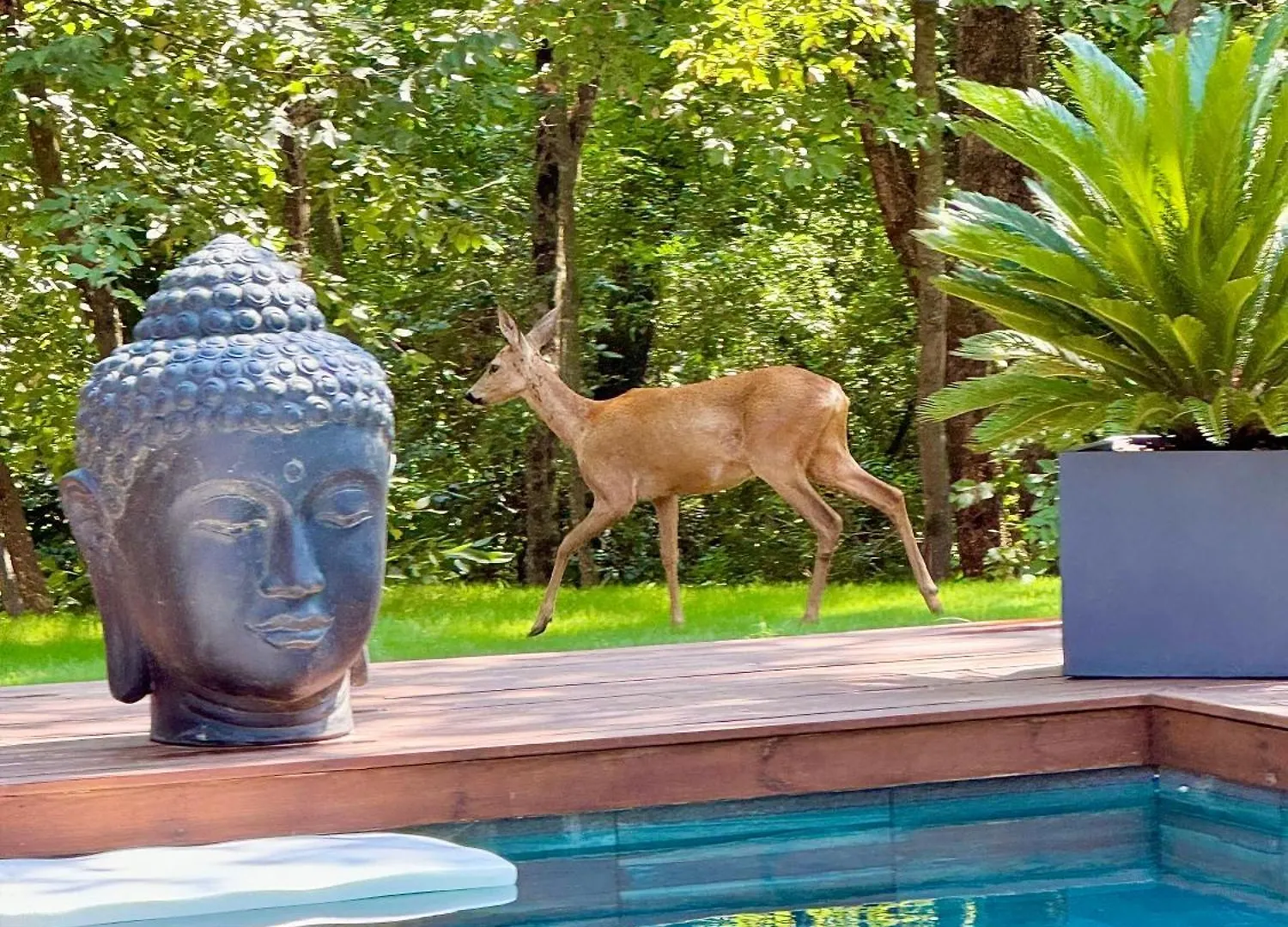 Villa With Pool, Petanque, Large Green Space Roquefort-les-Pins